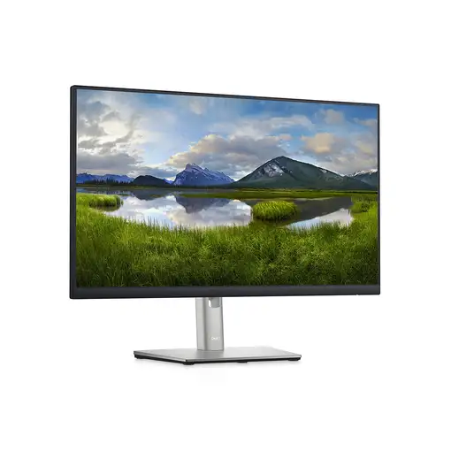 DELL P Series Monitor 60,96 cm (24") con concentrador USB-C - P2422HE
