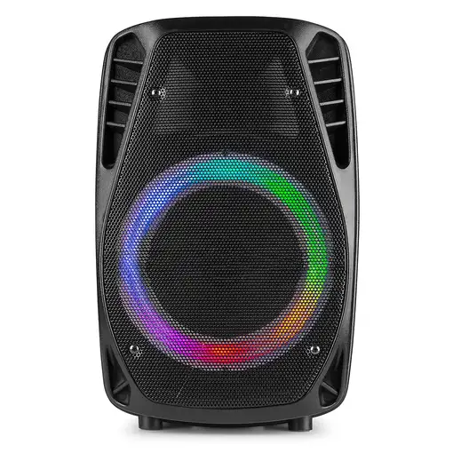 Fenton FT8LED-MK2 Negro 300 W