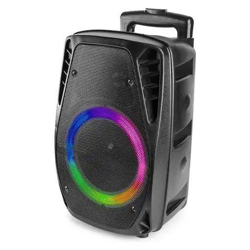 Fenton FT8LED-MK2 Negro 300 W