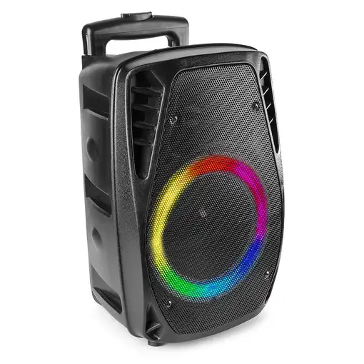 Fenton FT8LED-MK2 Negro 300 W