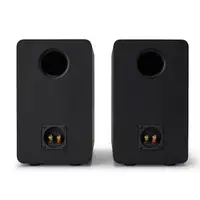 Reflexion SP-A100 altavoz Negro Alámbrico 140 W