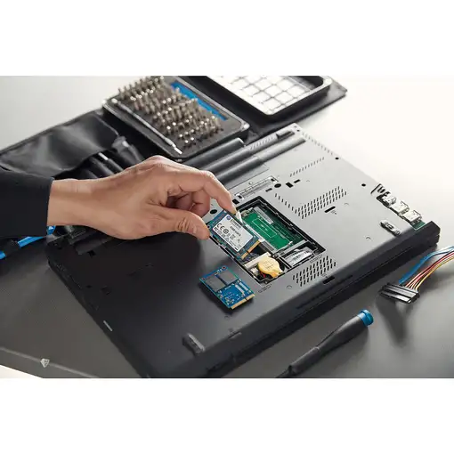 Kingston Technology Disco SSD KC600 SATA3 mSATA de 256 G