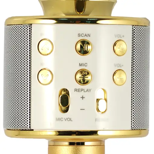 Xtreme Hollywood Oro, Plata Micrófono para karaoke