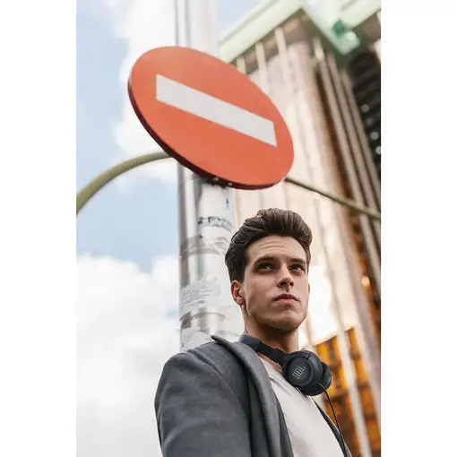 JBL Tune 500 Auriculares Alámbrico Diadema Llamadas/Música Azul