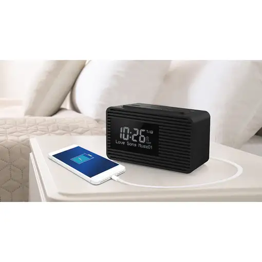 Panasonic RC-D8EG-K radio Reloj Negro