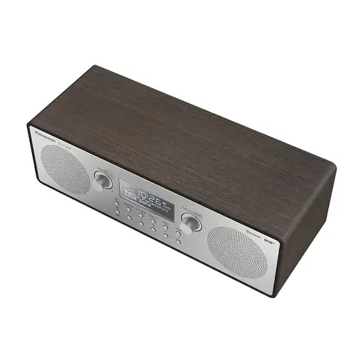 Panasonic RF-D100BT Portátil Digital Negro, Gris