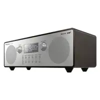 Panasonic RF-D100BT Portátil Digital Negro, Gris