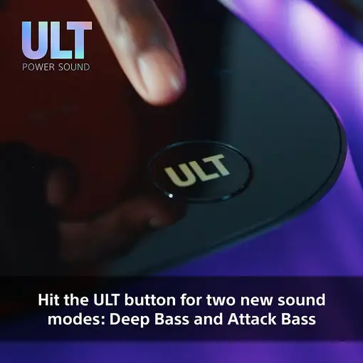 Sony 4548736157163 Altavoz para fiestas Negro