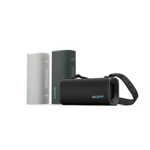 Sony SRSULT30H Altavoz portátil estéreo Gris