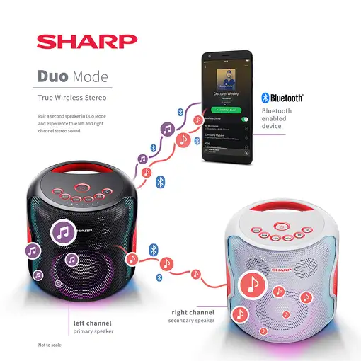 Sharp PS-919 Sistema de altavoz portátil 2.1 Negro 130 W