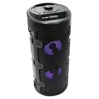 ELBE ALT-88-TWS altavoz portátil o de fiesta Altavoz para fiestas Negro 10 W