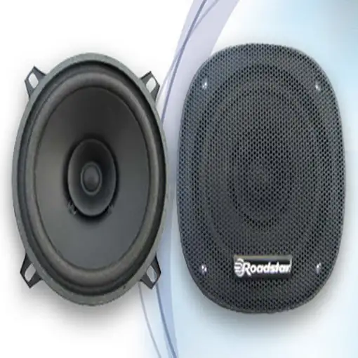 Roadstar PS-1315 altavoz audio 50 W