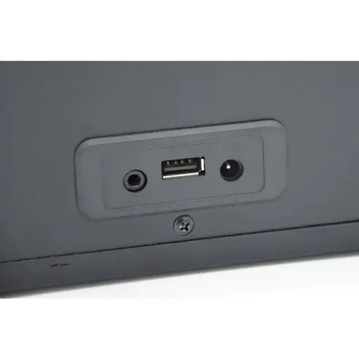 Radio Internet Wi-Fi y Digital DAB/ DAB+/ FM, Bluetooth,USB,IR-390D+BT/BK Roadstar