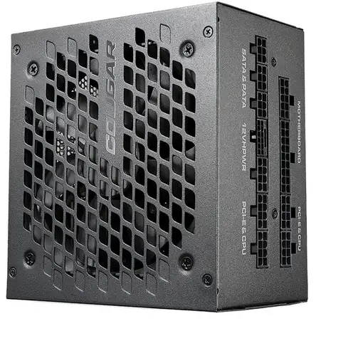 COUGAR Gaming GEX X2 1000 unidad de fuente de alimentación 1000 W 20+4 pin ATX ATX