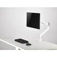 Equip Soporte de escritorio para monitor de 17«-35», blanco