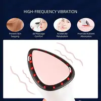 Masajeador Hidratador Facial Klack SKIN IRONING MACHINE