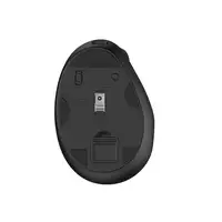 Ewent EW3208 ratón Universal mano derecha RF Wireless + Bluetooth Óptico 4000 DPI