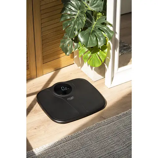 Adler AD 8172B báscula de baño Plaza Negro Báscula personal electrónica