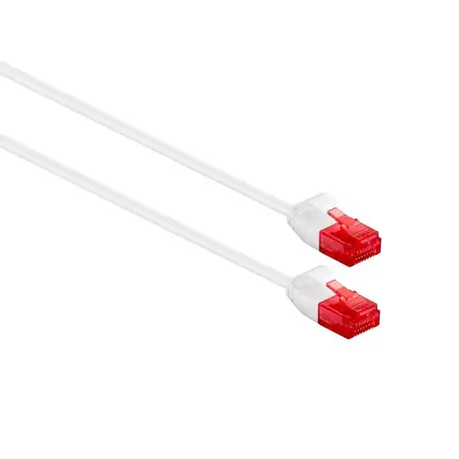 Ewent IM1039 cable de red Blanco 2 m Cat6 U/UTP (UTP)