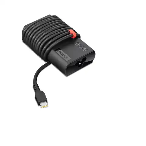 Lenovo GX20Z46255 adaptador e inversor de corriente Interior / exterior Negro