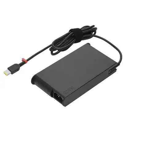 Lenovo GX20Z46306 adaptador e inversor de corriente Interior 230 W Negro
