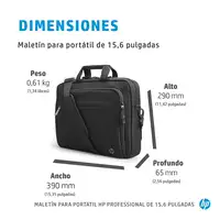 HP Professional 15.6-inch Laptop Bag