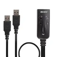 Lindy 32165 interruptor KVM Negro