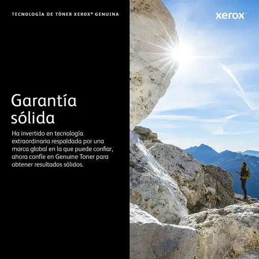 Xerox VersaLink C400/C405 cartucho de tóner negro de capacidad normal (2500 página