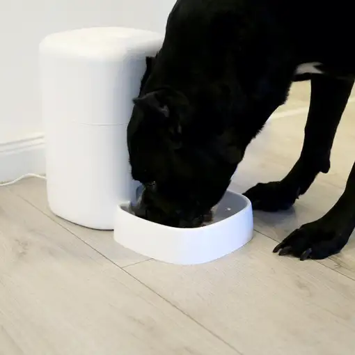 Comedero para mascotas Tellur Smart WiFi, cámara UltraHD, 4L, blanco