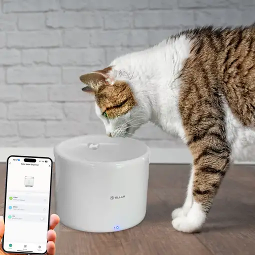 Tellur Smart WiFi Dispensador de Agua para Mascotas, 2L, blanco