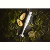 Batidora de Mano Brazo Desmontable, Cuchillas de Corte en Acero Inox AD4622, Adler