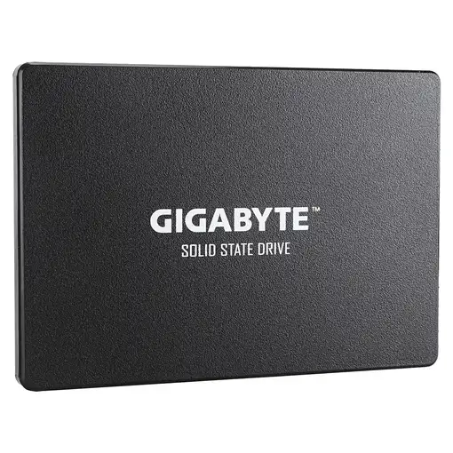 GIGABYTE GP-GSTFS31256GTND unidad de estado sólido 256 GB 2.5" Serial ATA III V-NA