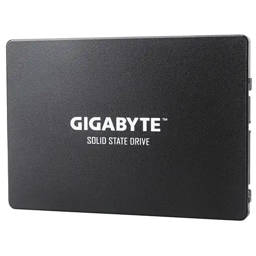 GIGABYTE GP-GSTFS31256GTND unidad de estado sólido 256 GB 2.5" Serial ATA III V-NA
