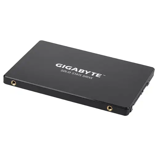 GIGABYTE GP-GSTFS31256GTND unidad de estado sólido 256 GB 2.5" Serial ATA III V-NA