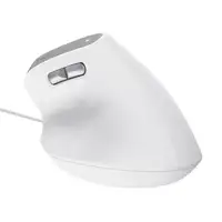 Trust Bayo II ratón Oficina mano derecha USB tipo A Óptico 2400 DPI