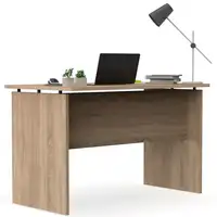Escritorio, Mesa de Ordenador Oficina,Estudio 76 x 120 x 68 cm,Roble Zenith Briebe