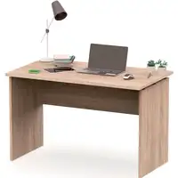 Escritorio, Mesa de Ordenador Oficina,Estudio 76 x 120 x 68 cm,Roble Zenith Briebe