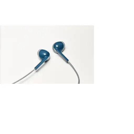 JVC HA-F19M-AH Auriculares Alámbrico Dentro de oído Llamadas/Música Azul, Gris