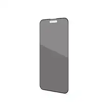 Celly PRIVACYF1053BK protector de pantalla o trasero para teléfono móvil Protector Celly PRIVACYF1053BK protector de pantalla o trasero para teléfono móvil Protector