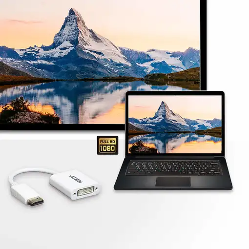 ATEN Adaptador de DisplayPort a DVI