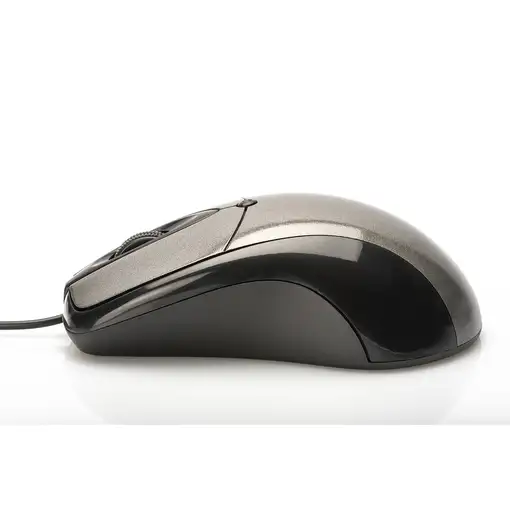 Ednet 81046 ratón Oficina Ambidextro USB tipo A Óptico 800 DPI