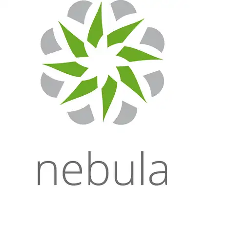 Zyxel LIC-NPRO-ZZ1Y00F licencia y actualización de software 1 licencia(s) 1 año(s)
