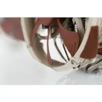 Noctua NH-D15 sistema de refrigeración para ordenador Procesador Enfriador 14 cm B