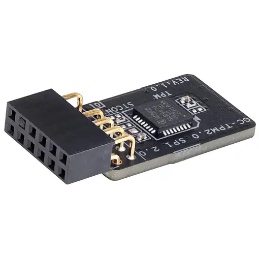 GIGABYTE GC-TPM2.0 SPI 2.0 módulo de plataforma de confianza (TPM)