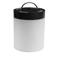 Denver BTL-30BNR Negro, Blanco 3 W