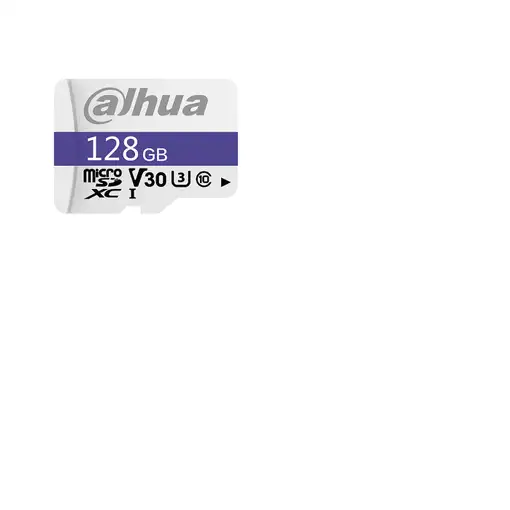 Dahua Technology C100 128 GB MicroSDXC UHS-I Clase 10