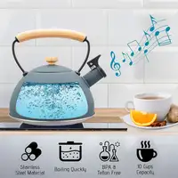 Tetera con Silbato, Hervidor de Agua 2,3L,Inducción,Acero Inox,Gris Nordic Briebe