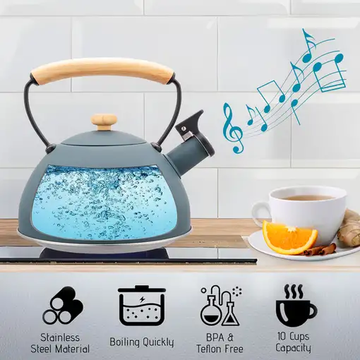 Tetera con Silbato, Hervidor de Agua 2,3L,Inducción,Acero Inox,Gris Nordic Briebe