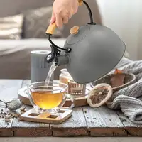 Tetera con Silbato, Hervidor de Agua 2,3L,Inducción,Acero Inox,Gris Nordic Briebe