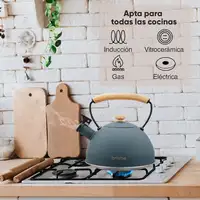 Tetera con Silbato, Hervidor de Agua 2,3L,Inducción,Acero Inox,Gris Nordic Briebe